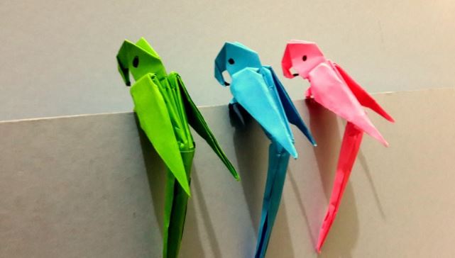 cara membuat origami burung beo